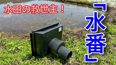 番筧水|番水(バンスイ)とは？ 意味や使い方